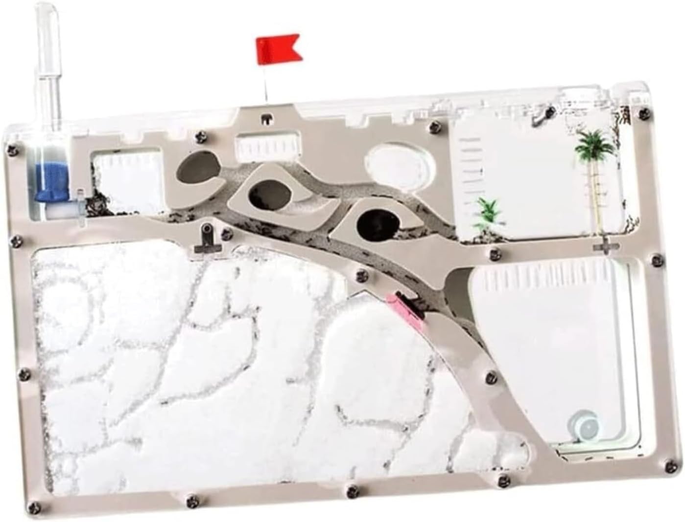 アク抜き済み流木 爬虫類、昆虫、エアプランツ等レイアウト 工作素材