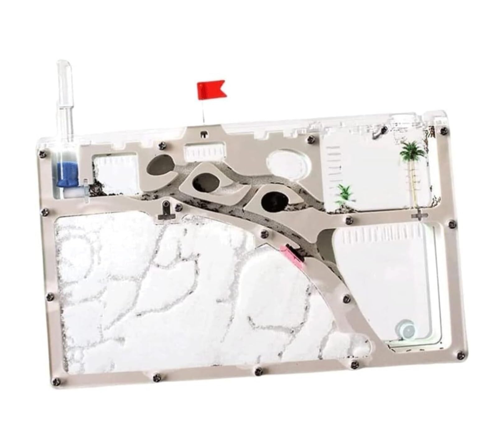 Formicario Formicaio Trasparente Acrilico Scatola Di Alimentazione Strumento Posizionamento Home Office Kit Apprendimento Per Fattoria Habitat Nido Terrario