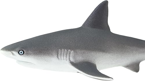 Miniatura 6 de Safari Ltd. Figura de tiburón de arrecife gris, figura detallada de modelo de plástico de 6.25 pulgadas, divertido juguete educativo de juego de