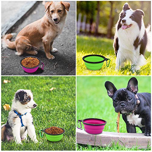 Image of Collapsible Dog Bowl, 2 Pack Collapsible Dog Water Bowls for Cats Dogs, Portable Pet Feeding Watering Dish for Walking Parking Traveling with 2 Carabiners (Small, Green+Purple)