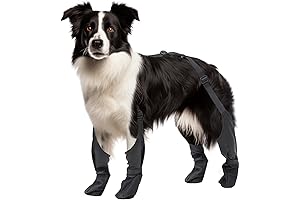 Canada Pooch Dog Boots Suspenders: The Ultimate Paw Protection Solution