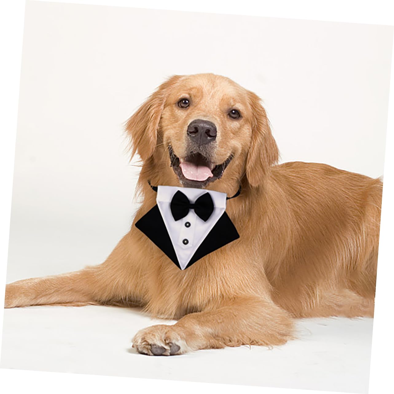 PRETYZOOM 3 Sets Hund Bib Pet Schal Dreieckige Pet Bandana Stilvolle Hund Kragen Zubehör Für Outdoor