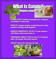 Vista 3 de Semillas de hierba gatera - Nepeta cataria para plantar, más de 2200 semillas de hierbas, cultivo en interiores o exteriores, reliquia, sin OMG, a