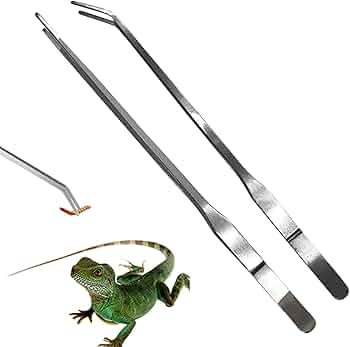 61oXXs4ZAWL._AC_UF350,