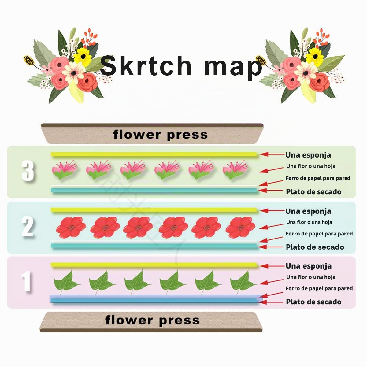 Worown (15 cm x 15 cm Kit de prensado de flores en miniatura, prensa de hojas, juego de prensado de 4 capas que incluye instrucciones para adultos para hacer muestras