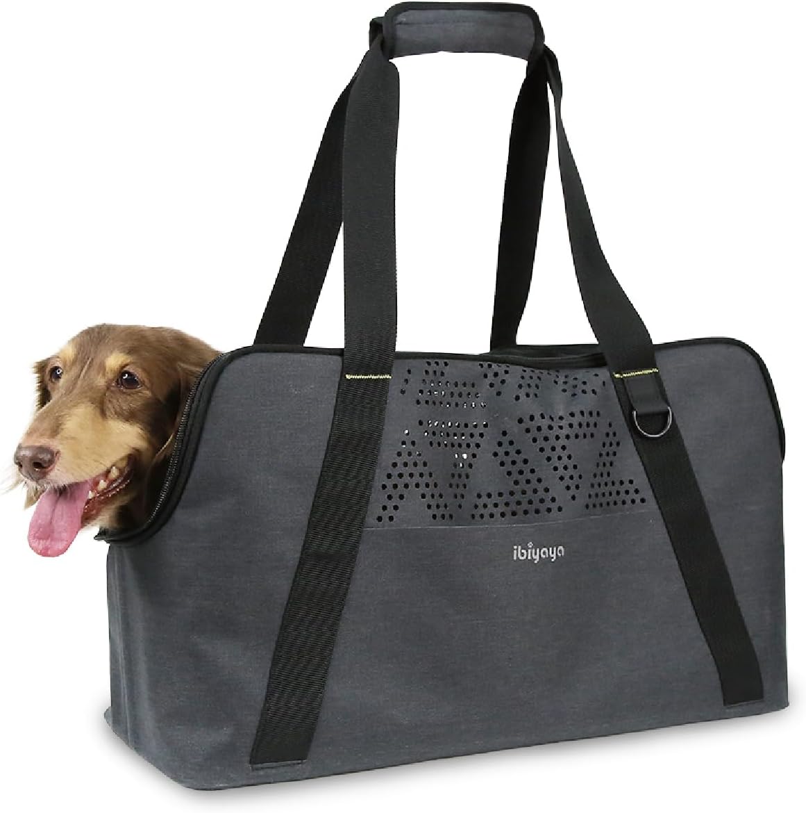 ibiyaya Breezy Wanderer Fur-Free Pet Tote Bag, Dog Carrier for Long-Bodied Small Dogs, Dachshund - Water Repellent, Travel Friendly, Pet Carrier for Dogs, Cats, Rabbits - Up to 17lbs (Large) (Medium)