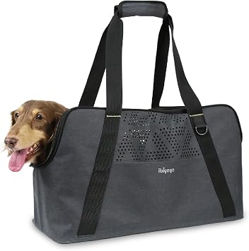 ibiyaya Breezy Wanderer Fur-Free Pet Tote Bag, Dog Carrier for Long-Bodied Small Dogs, Dachshund - Water Repellent, Travel Friendly, Pet Carrier for Dogs, Cats, Rabbits - Up to 17lbs Large Medium