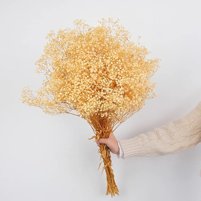 Dried Flowers Baby's Breath Bouquet - 1500+ White Flowers, 17'' Natural Gypsophila Branches for Wedding, Table Vase Decor,DIY Wreath Floral, Arrangement Home Decorating