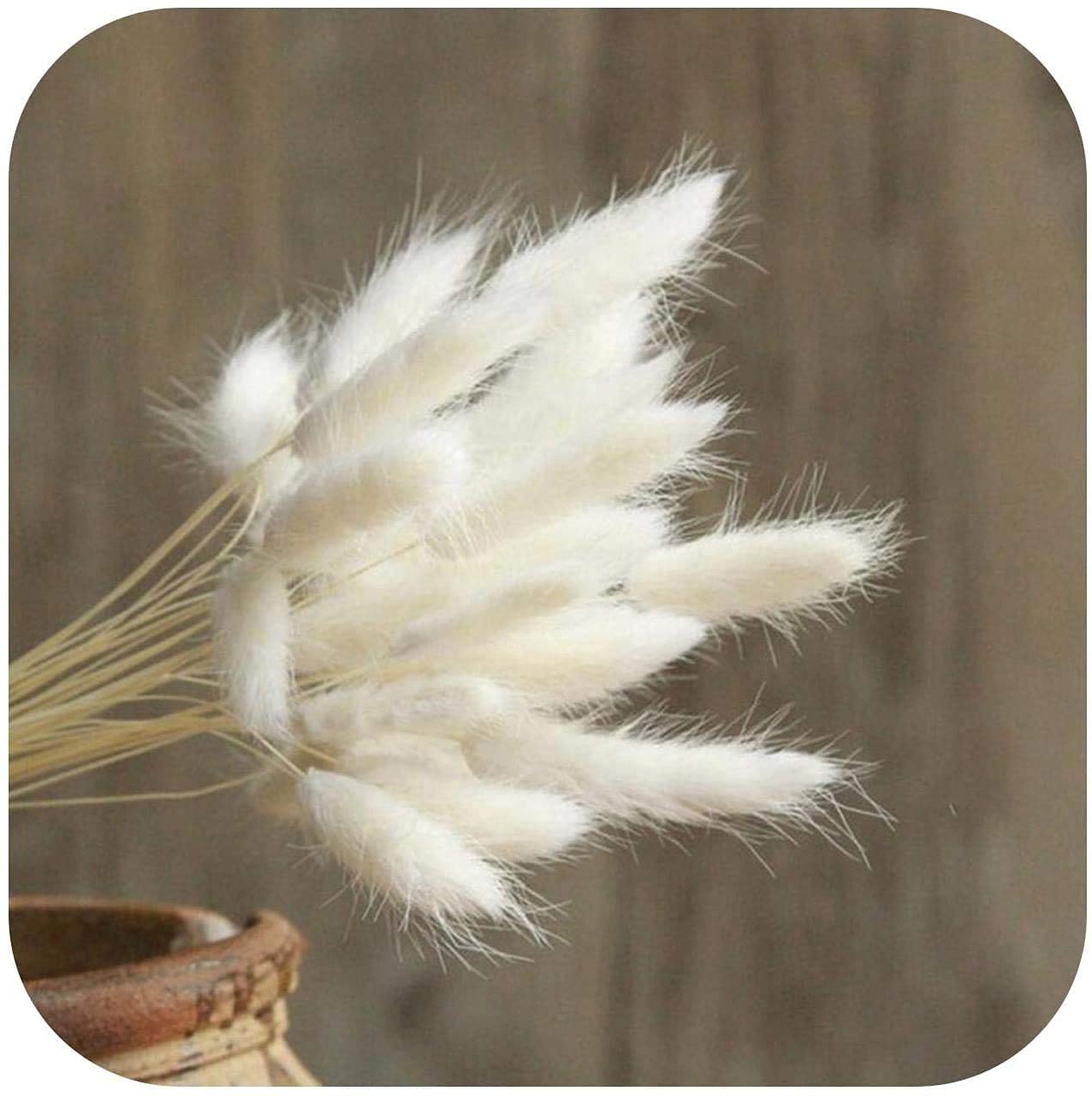 Pampasgras Gedroogde Bloemen Boeket 70 Stuks Gedroogde Bloem Boeket Pampasgras Riet Gras Roze Konijnenstaarten Gele Billy Button Gedroogde Bloem Decoratie Voor Bruiloft Thuis Rustiek Feest