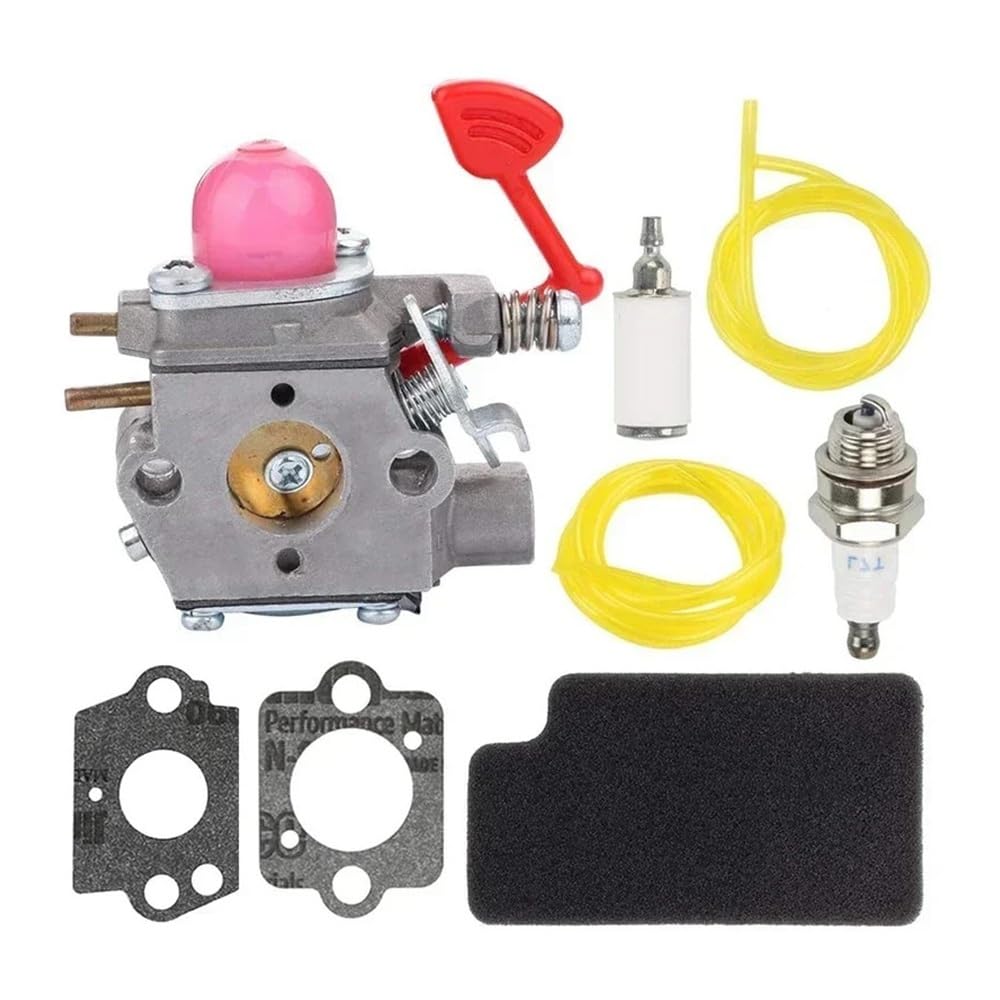 Carburateur WT-875 réparer souffleur thermique en panne 545081855