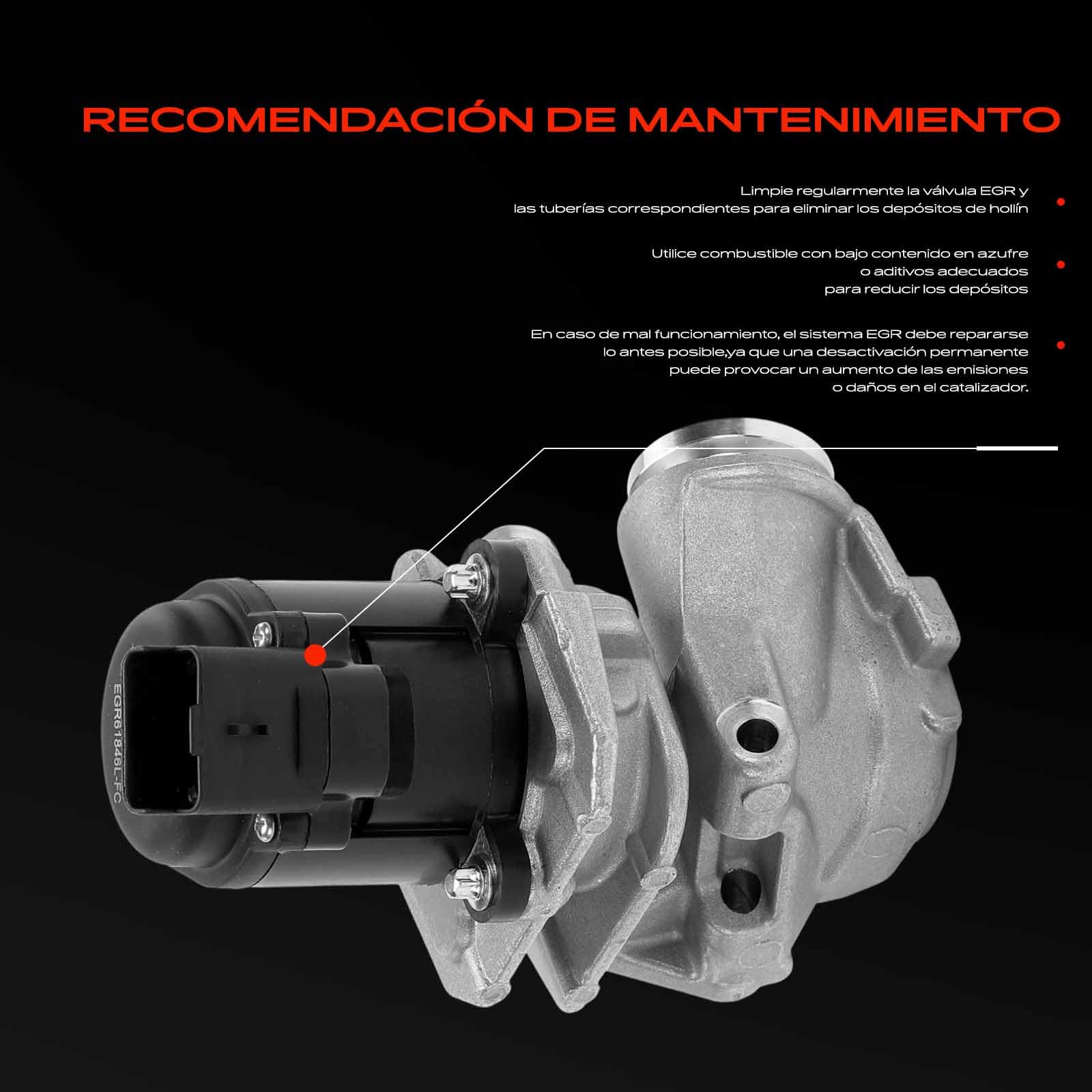 Frankberg Válvula EGR Diesel Compatible con Fiesta VI CB1 CCN 1.4L Fiesta V JD JH 1.4L Fusion JU 1.4L C3 II SC 1.4L 206+ 2L 2M 1.4L Replace# 2S6Q-9D475-BC