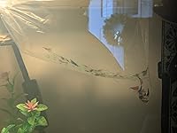 Review Image by Darian Rust