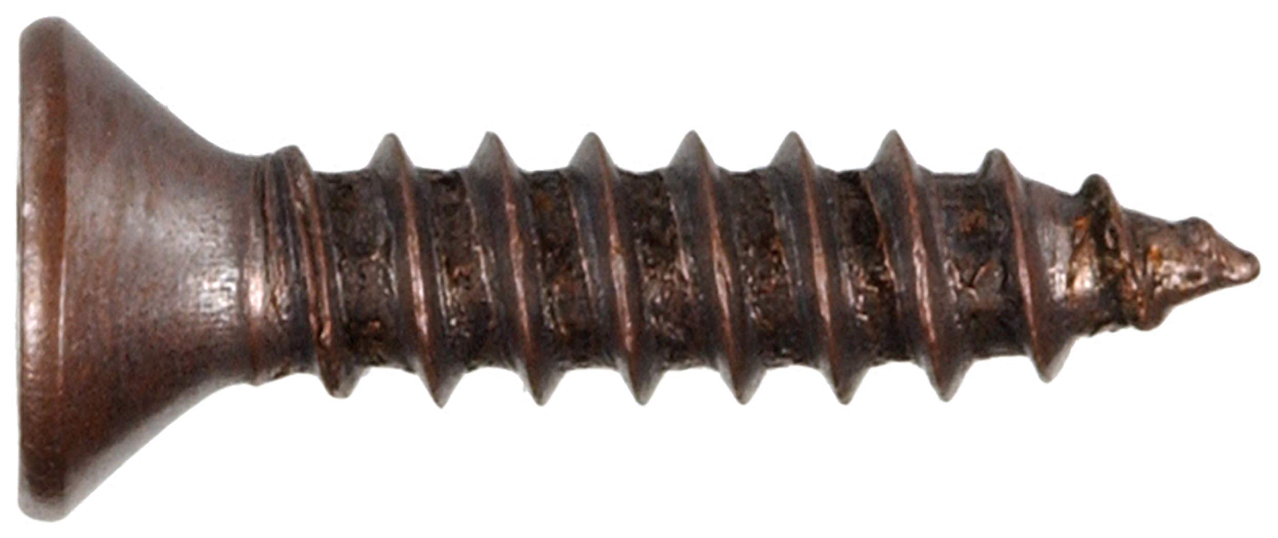 The Hillman Group 2851 - Tornillo decorativo para chapa (15,5 x 5,8 cm, cabeza plana, 40 unidades)