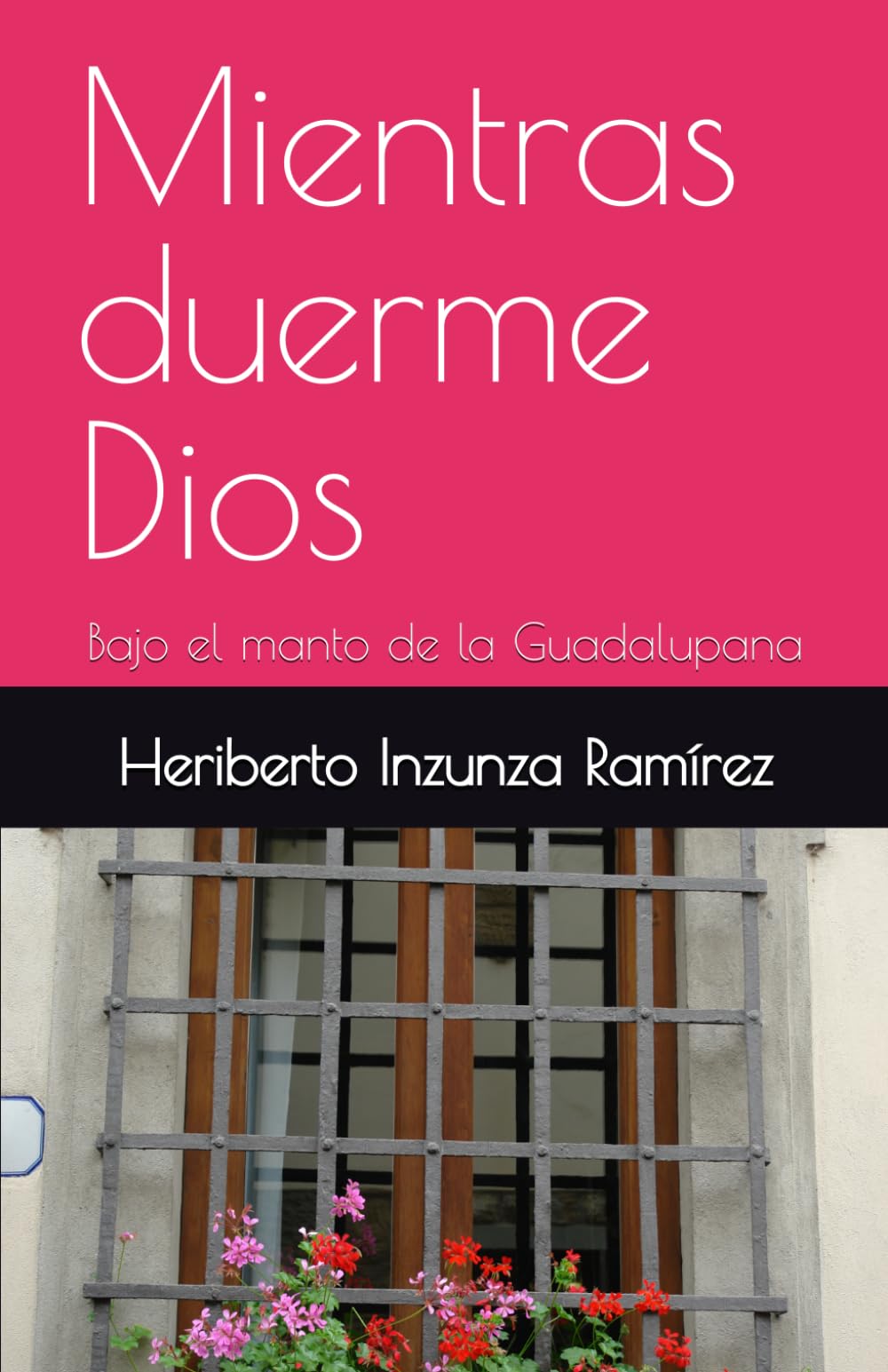 Mientras duerme Dios: Bajo el manto de la Guadalupana