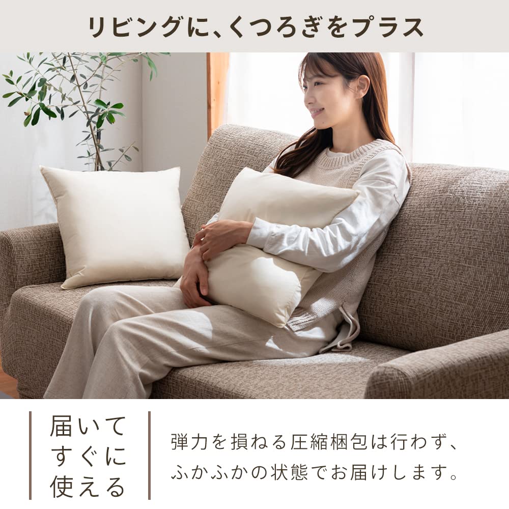 Amazon.co.jp: アイリスプラザ ヌードクッション 45×45cm 日本製 2個