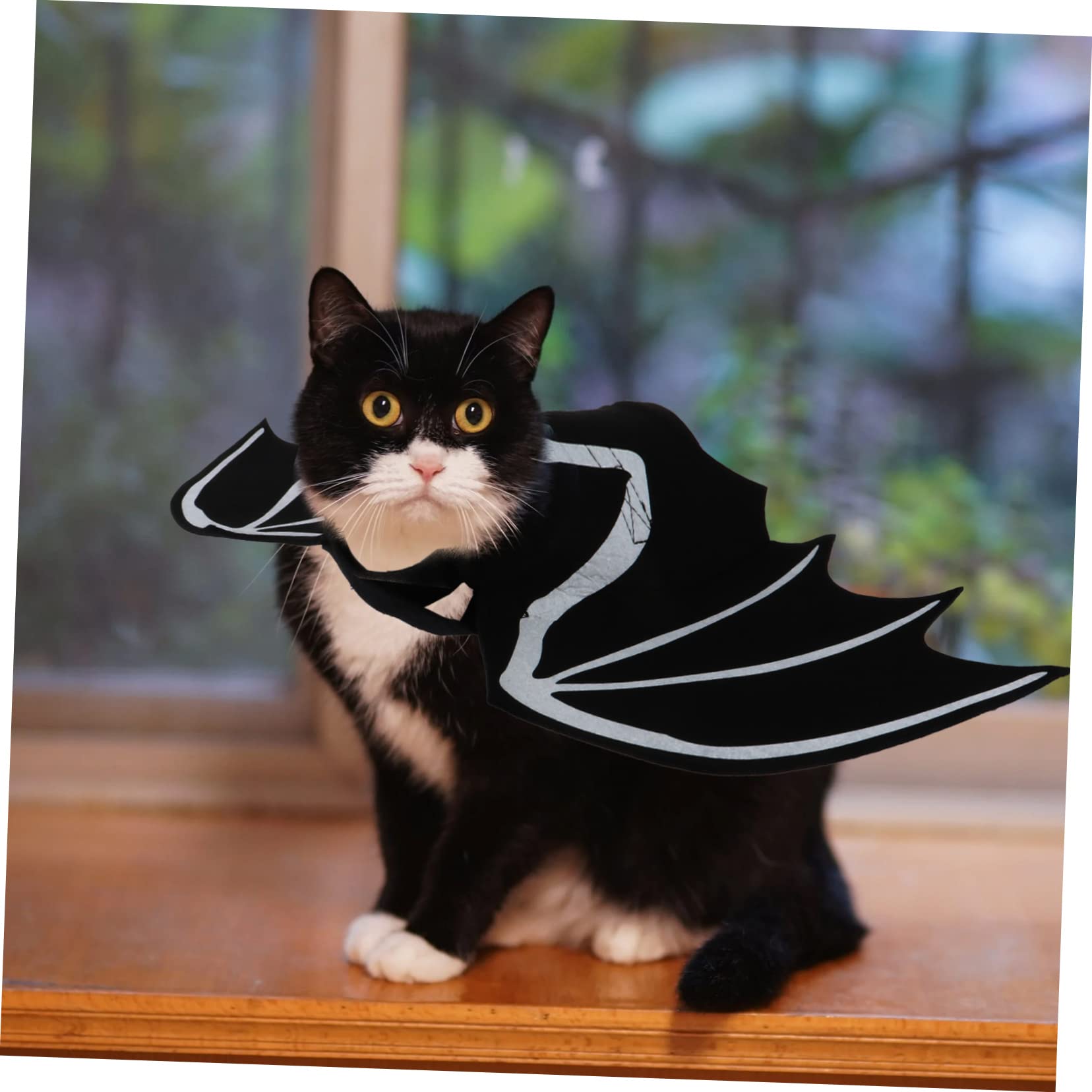 Happyyami 3pezzi Costume Per Animali Domestici Halloween Con Da Pipistrello Luminose Abbigliamento Per Gatti e Cani Pet Supplies Creativi e Confortevoli