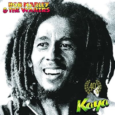 KAYA 40