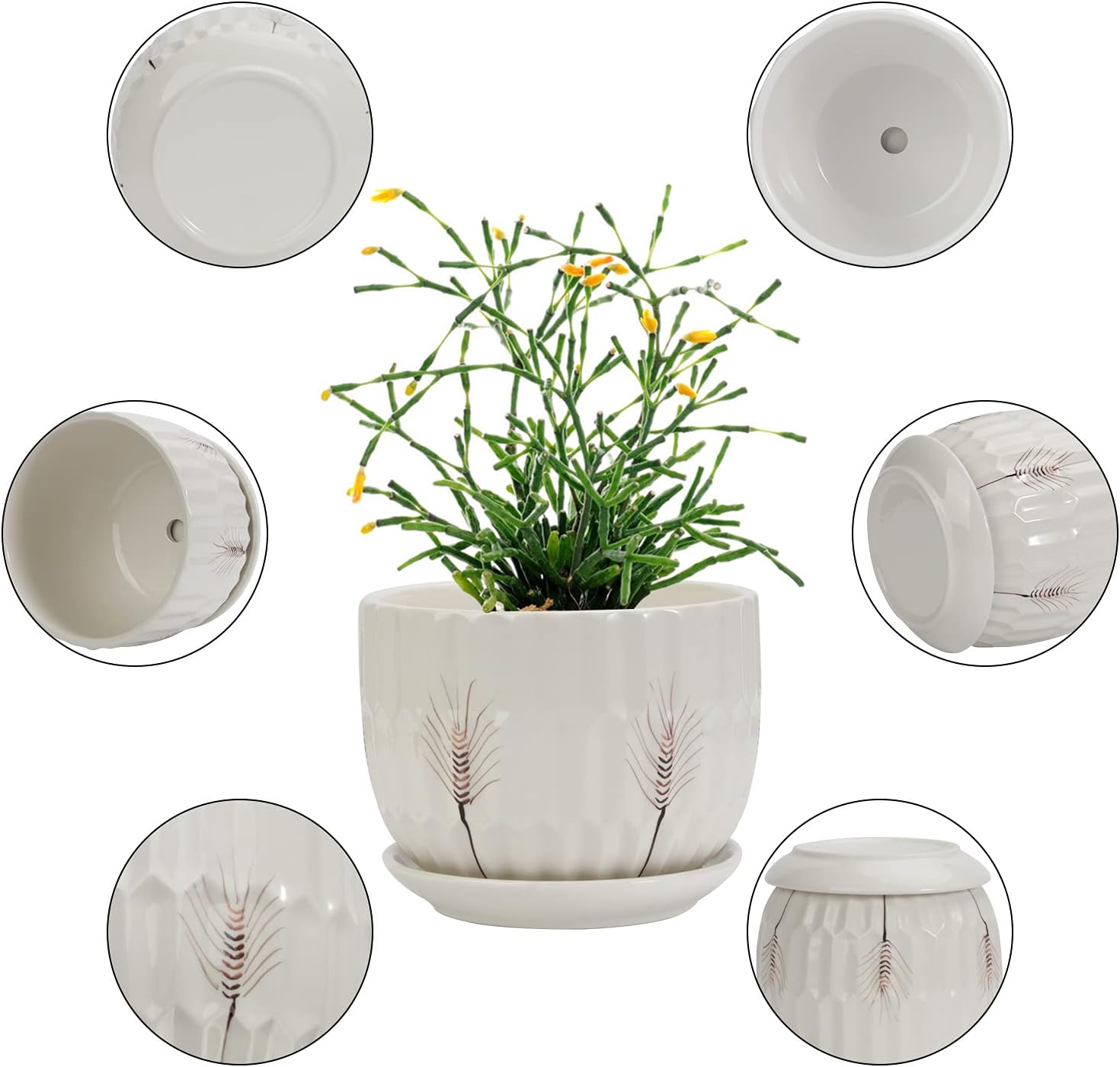 Laerjin Plant Pots 4.17" & 5.62" & 6.88" Flower Pot with Drainage Holes and Saucers, Set of 3 Ceramic Plant Pot with Tray, Outdoor Small to Medium Sized Round Modern Ceramic Garden Flower Pots : Patio, Lawn & Garden