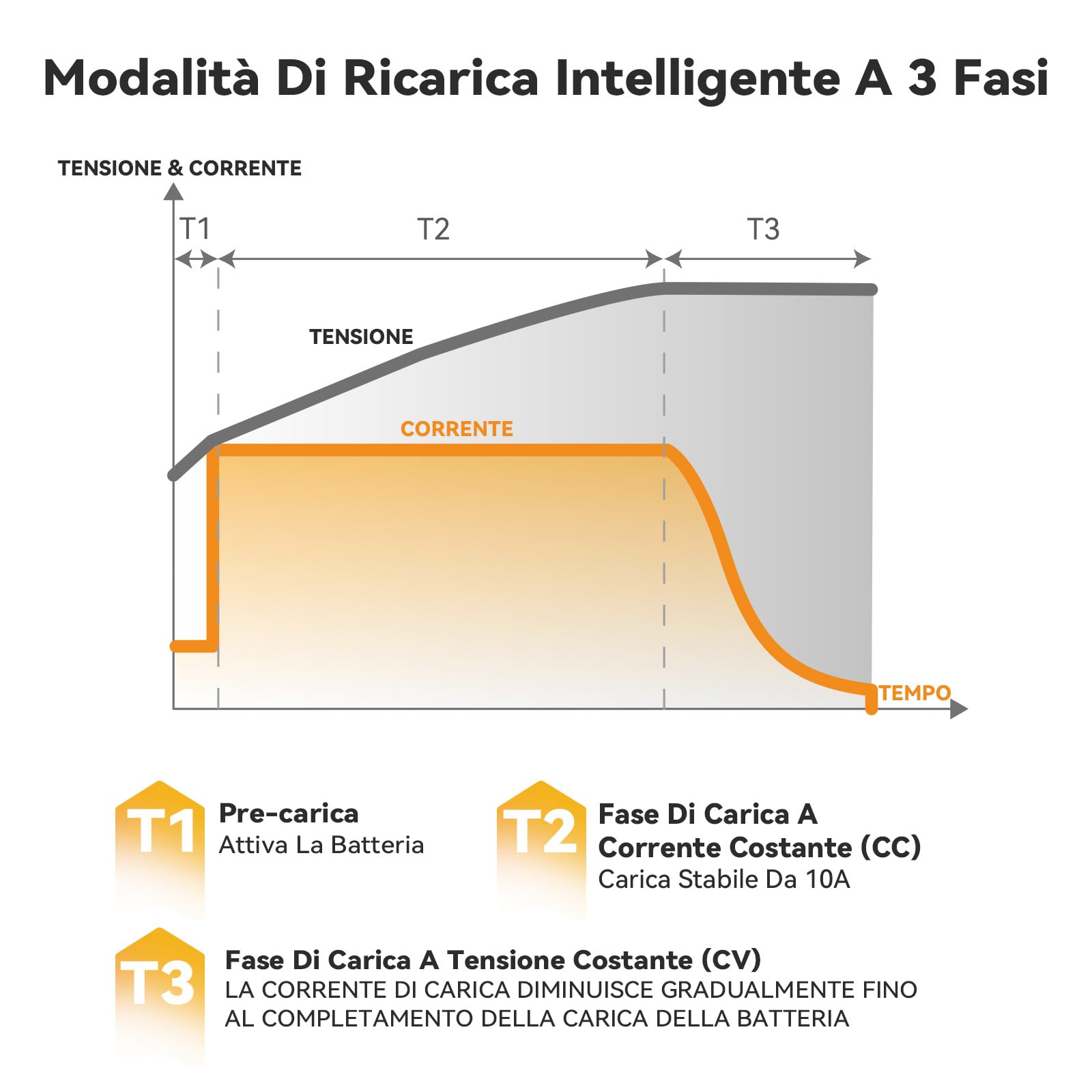 Power Queen Caricabatterie Al Litio Lifepo4, 14.6 V 10 A, Completamente Automatico, Ricaricabile, Con Più Misure Di Sicurezza