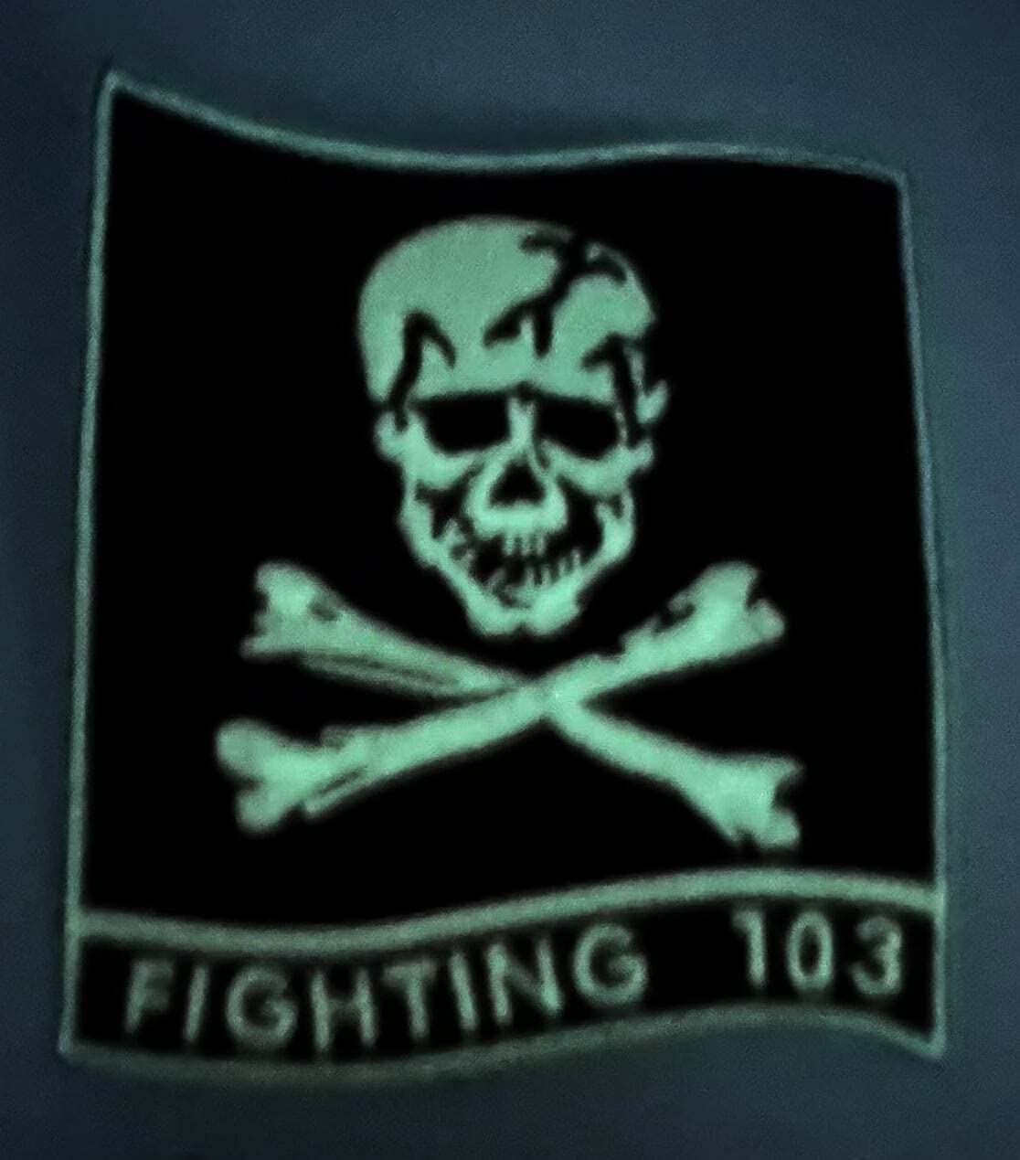 Amazon.com: VFA-103 Jolly Rogers Squadron Glow in Dark Patch