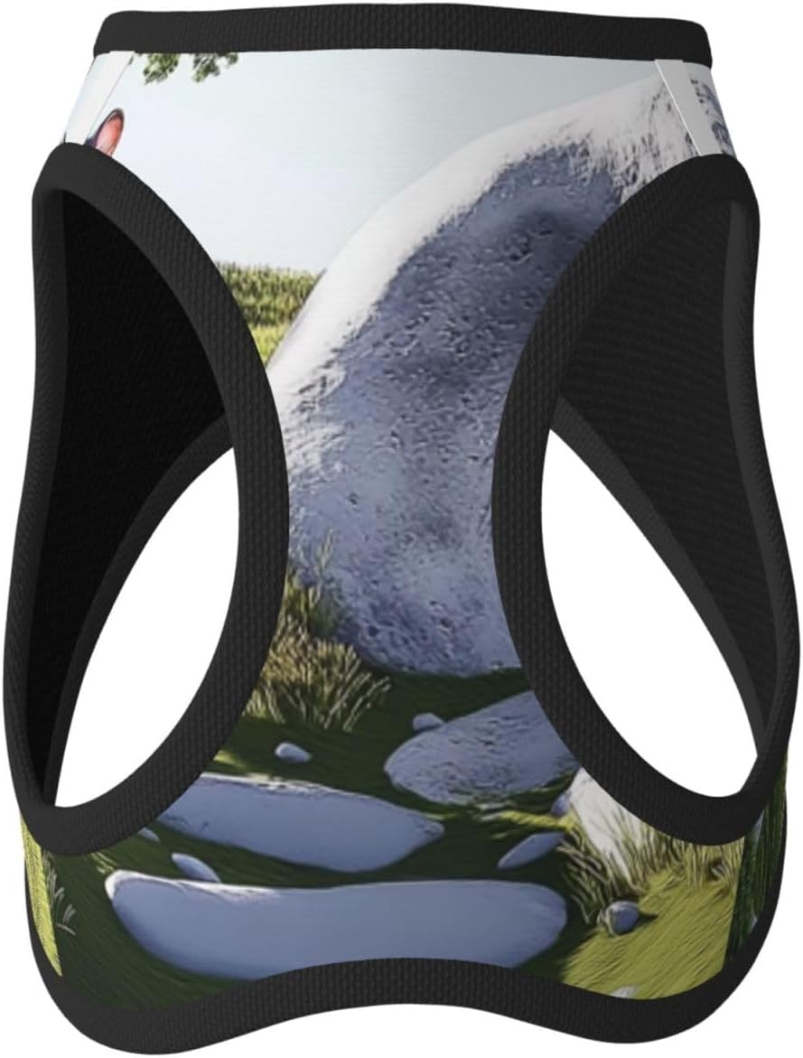 Hamster's Home Pet Vest Small Size Dog Harness and Leash Set for Training, Reflective & Adjustable Without Accessories Small