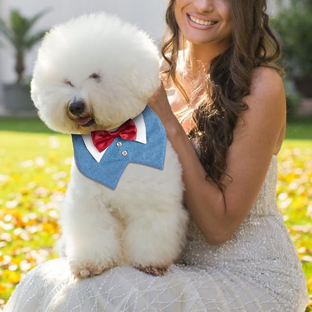 Foto 8 de 8 de Bandana de esmoquin para perros, collar formal con pajarita roja para perros pequeños, medianos y grandes
