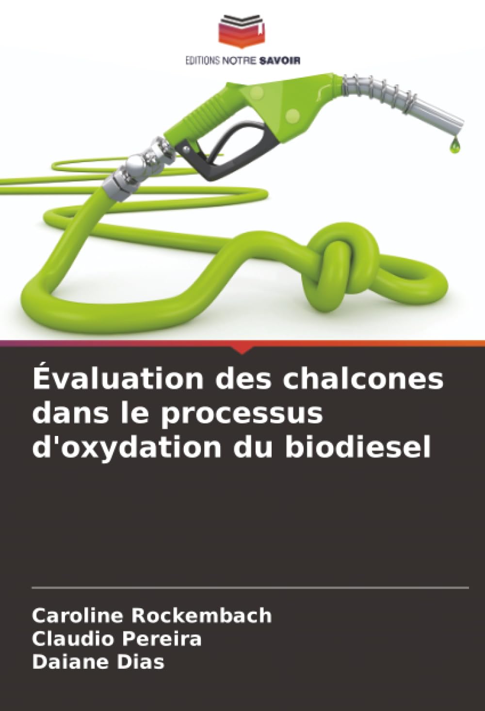 Évaluation des chalcones dans le processus d'oxydation du biodiesel