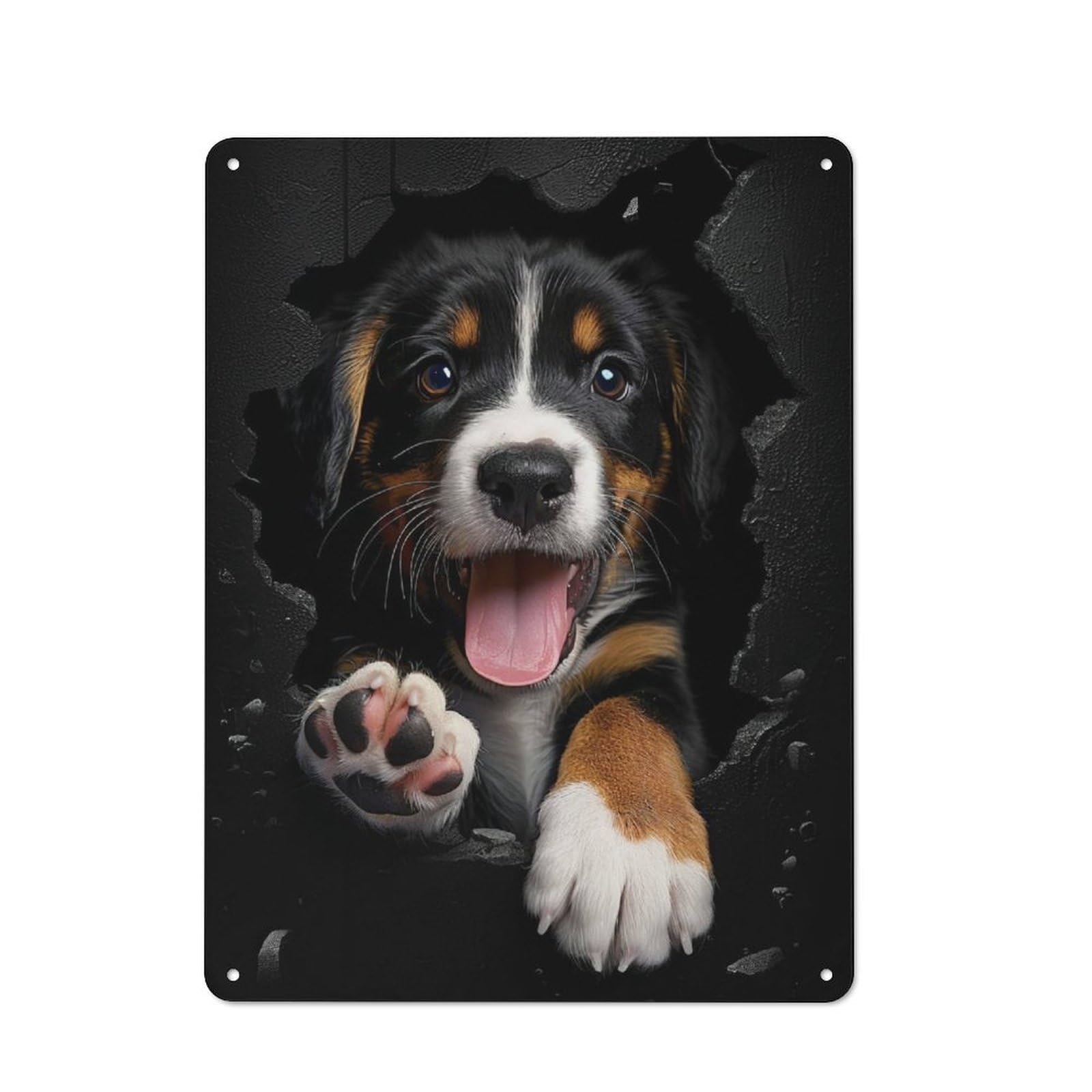 Junmoney Entlebucher Mountain Metal Plaque 40X30cm With For Hallway Wall, Retro Decor, For Wall Display Collectors