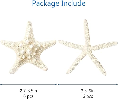 Miniatura 2 de gopiter 12 piezas de estrellas de mar  Decoración de estrellas de mar de 2.5 a 6 pulgadas  Conchas naturales de estrella de mar a granel perfectas