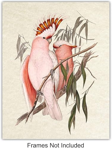 Miniatura 3 de Bird Wall Art - Bird Wall Decor - Tropical Wall Decor - Tropical Birds - Parrot Decorations - Parakeet, Cockatoo, Lovebird, Toucan Wall Art -