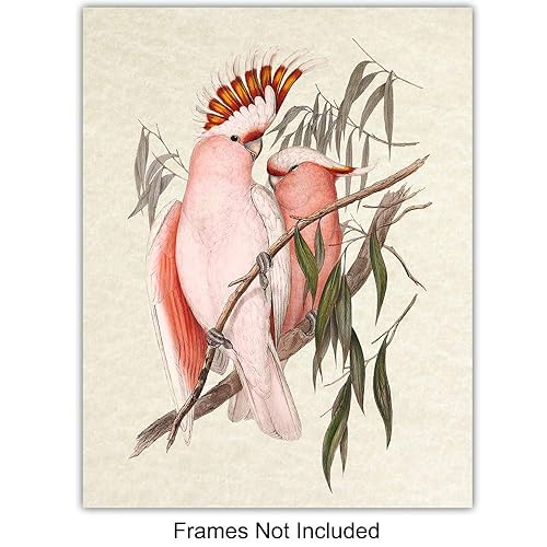 Miniatura 3 de Bird Wall Art - Bird Wall Decor - Tropical Wall Decor - Tropical Birds - Parrot Decorations - Parakeet, Cockatoo, Lovebird, Toucan Wall Art -