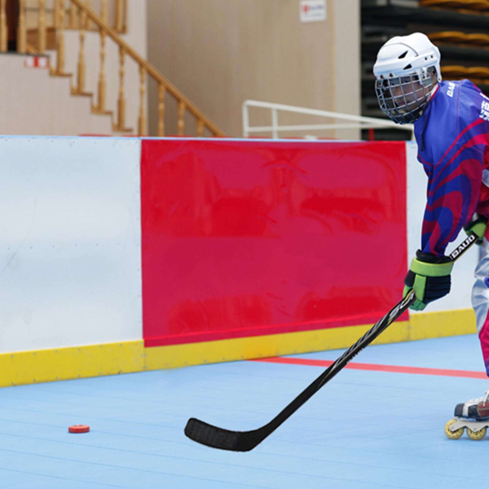 Jeanny Balle Hockey Street - Palet et Rondelle De Hockey sur Glace et Roller - Entraînement pour Débutants
