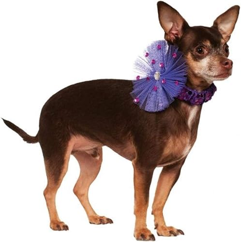 Rubie´s Rubis Fantaisie Company Collier Collier pour Chien