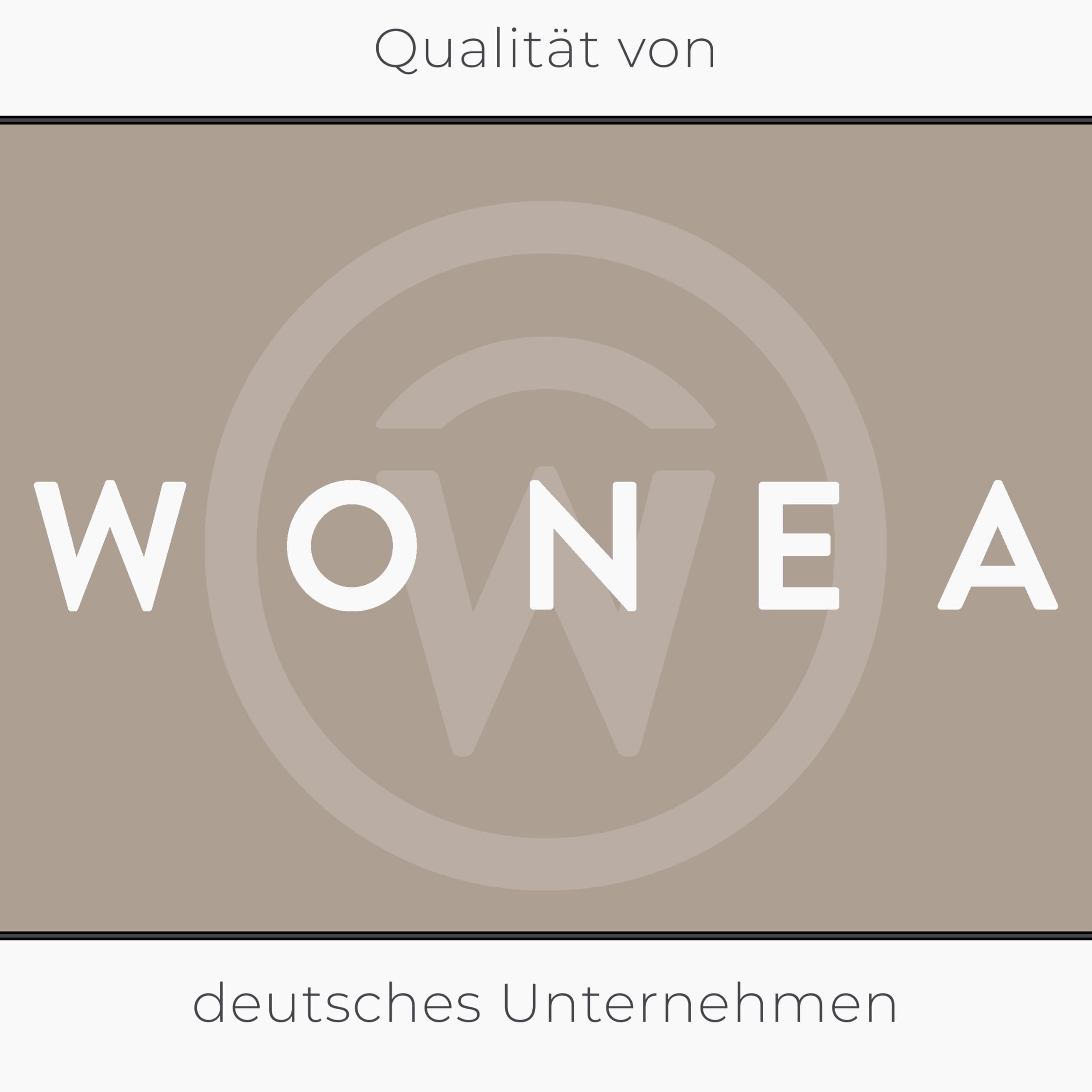 WONEA 32 Liter Thermoelektrische Kühlbox 12V 230V KÜHLEN und WÄRMEN Camping Kühlbox Auto LKW