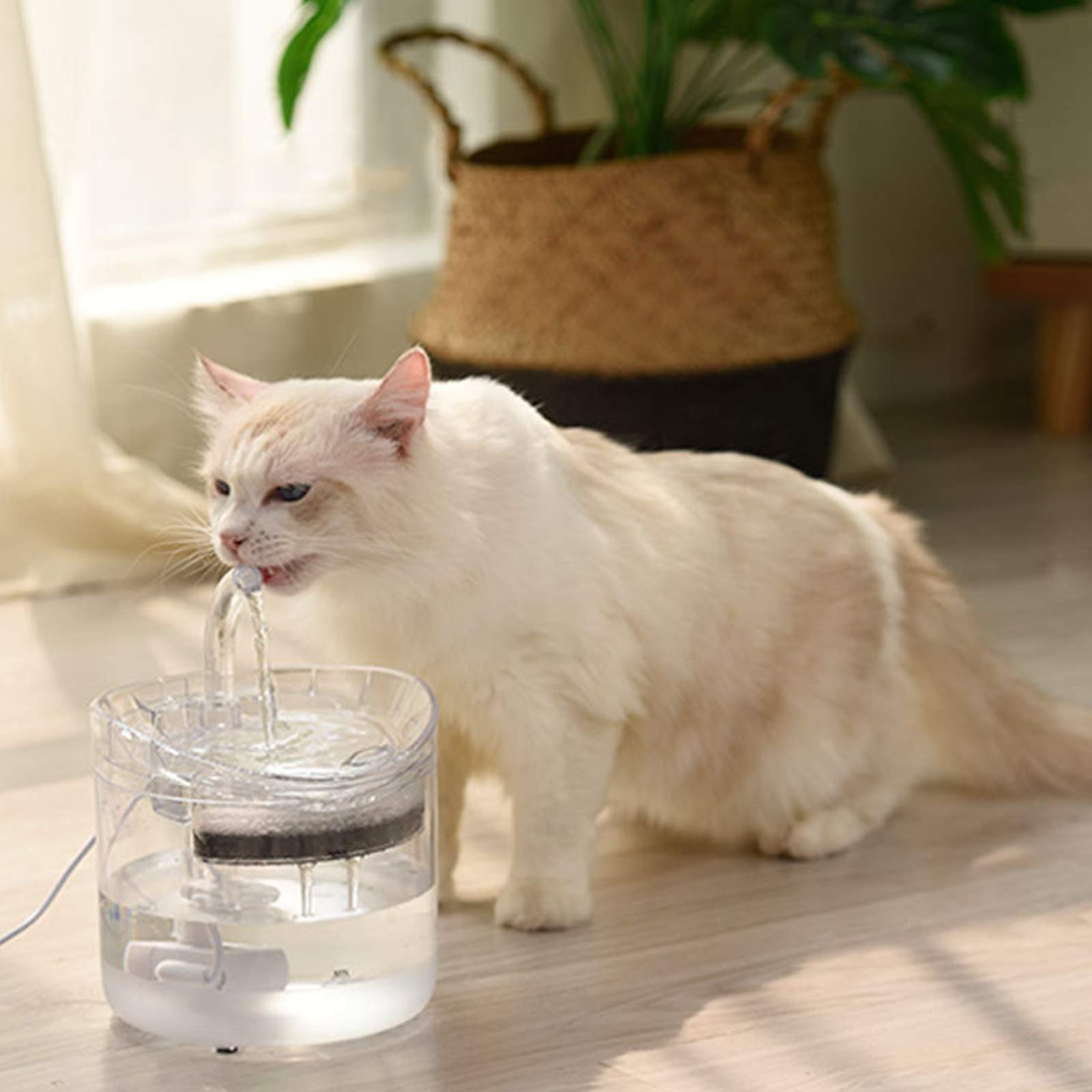 Fontana d'Acqua per Cane Gatto, Acqua Filtrata per Animali Domestici Sani da Bere, Fontanella Automatica Trasparente, Erogatore d'Acqua per Cani Elettrico Ultra Silenzioso
