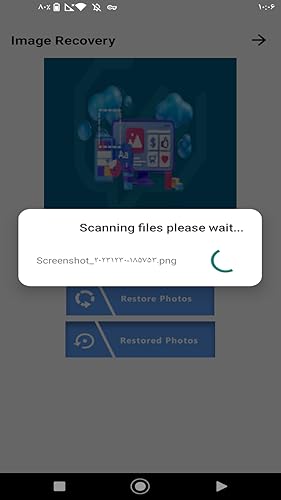 Samieenejad Recovery Files Pro 2024 thumb #4
