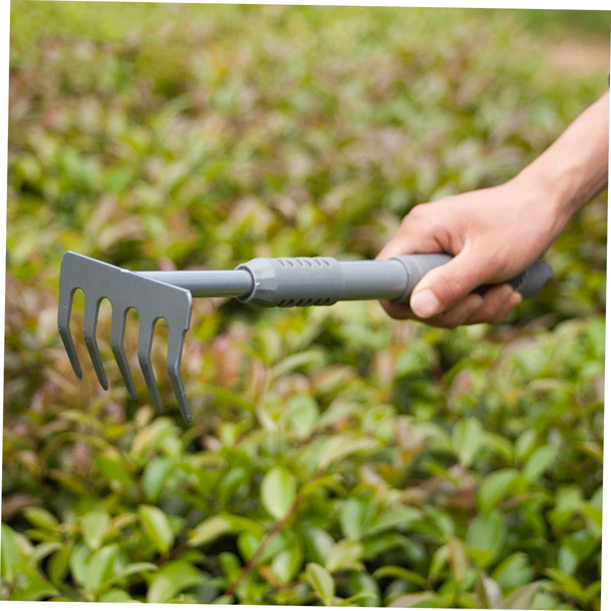Kit D’Outils de Jardinage Intérieur, Pelle à Planter Les Plantes Succulentes 3 Pièces en Acier et PVC, Forte et Tranchante pour Désherbage et Transplantation