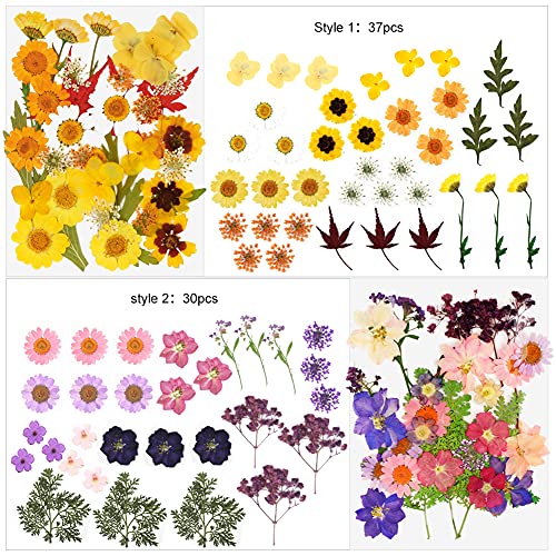127 Stuks Echte Gedroogde Geperste Bloemen Wikay Natuurlijke Bloemen Geperste Bloem Blad Voor DIY Hars Sieraden Maken… - Afbeelding 4