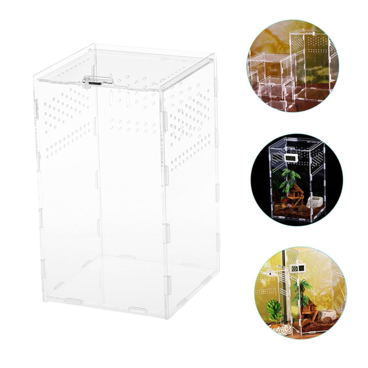 DOITOOL Magnetische Reptilien Futterbox aus Acryl 360° Transparentes Mikro Terrarium Konstante Luftzirkulation für Geckos und Schildkröten