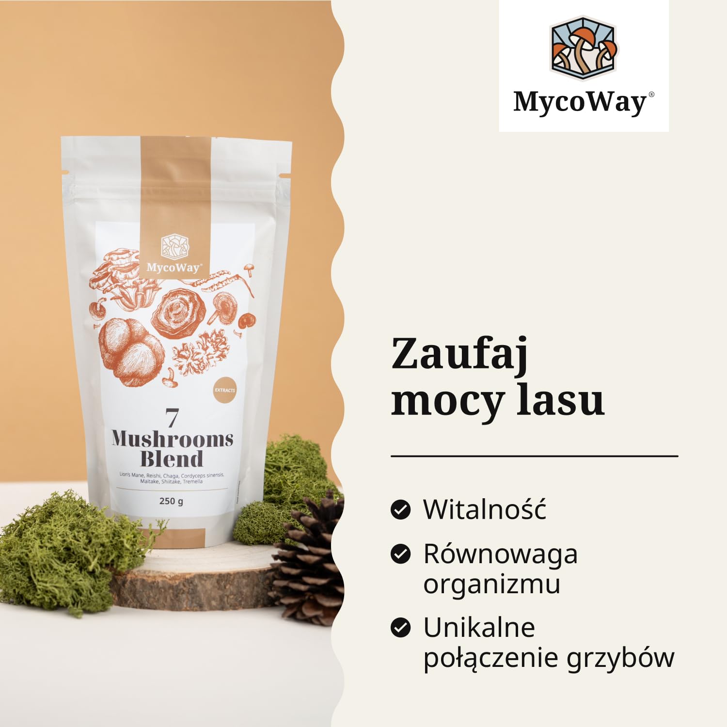 Mieszanka wyciągów z siedmiu grzybów w proszku od MycoWay – 250 g – 62 porcje – Silne naturalne wyciągi – Zastrzyk energii – Kompleksowe wsparcie dla organizmu