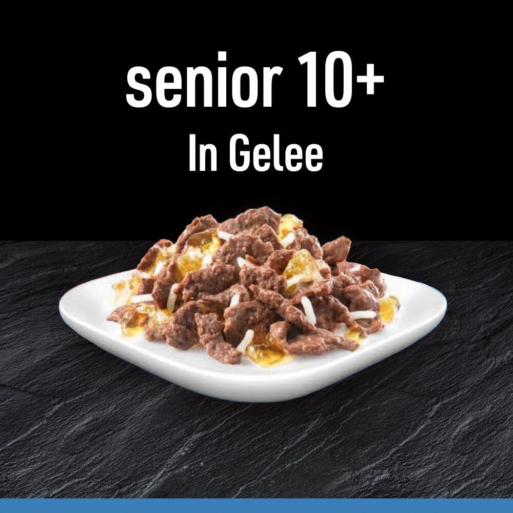 Cesar Selektion in Gelee Premium Hunde Nassfutter für Senior 10+ im Portionsbeutel Getreidefrei mit Superfoods in 4 Varietäten Megapack 40x100g