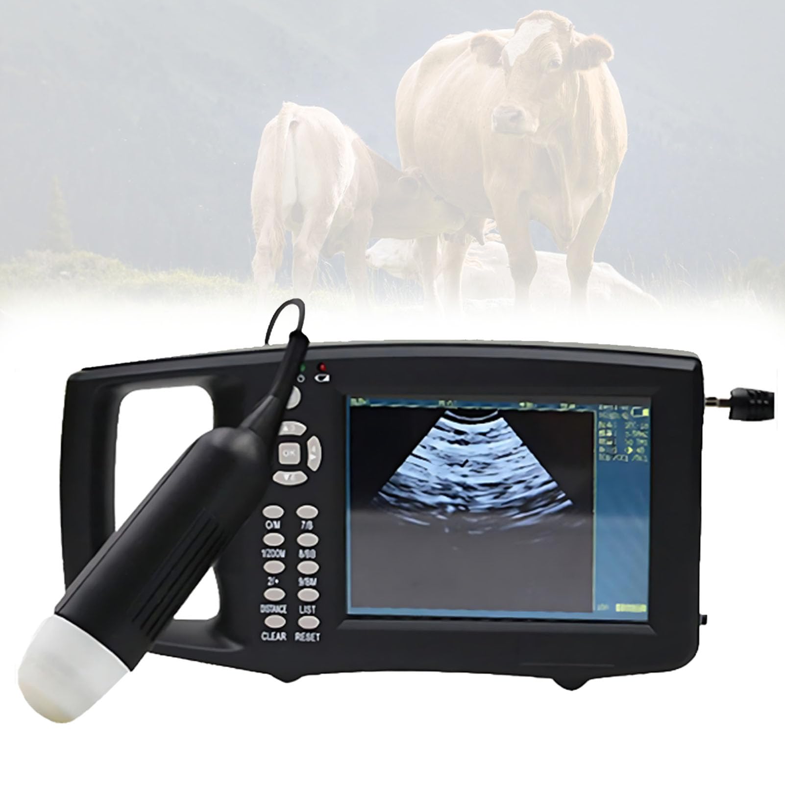 Kit Ecografo Veterinario, Diagnostica Veterinaria della Gravidanza con Sonda Convessa da 3,5 MHz per Pecore, Cani, Gatti E Maiali A