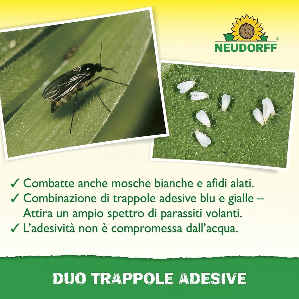 Neudorff Duo Sticky Traps – Trappole adesive blu contro i tripidi e trappole adesive gialle contro i moscerini sciaridi. Senza insetticidi, 20 pezzi