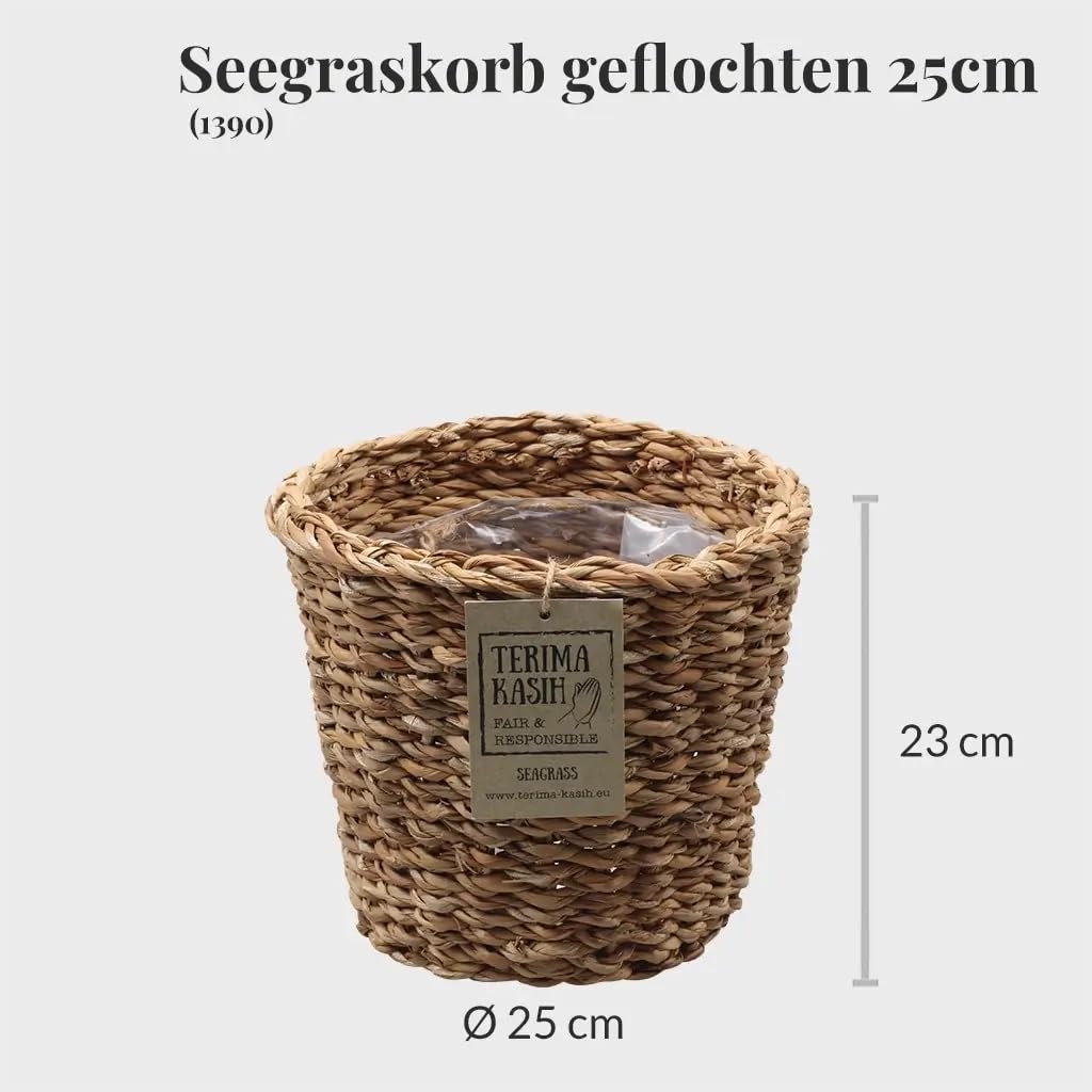 Glückskastanie mit Seegraskorb | 90–100 cm hoch | Pachira aquatica | Pflegeleichte Zimmerpflanze frisch aus der Gärtnerei | Ungiftig für Tiere | Dekopflanze mit geflochtenem Stamm | Green Me Up