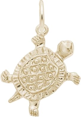 Rembrandt Turtle Charm