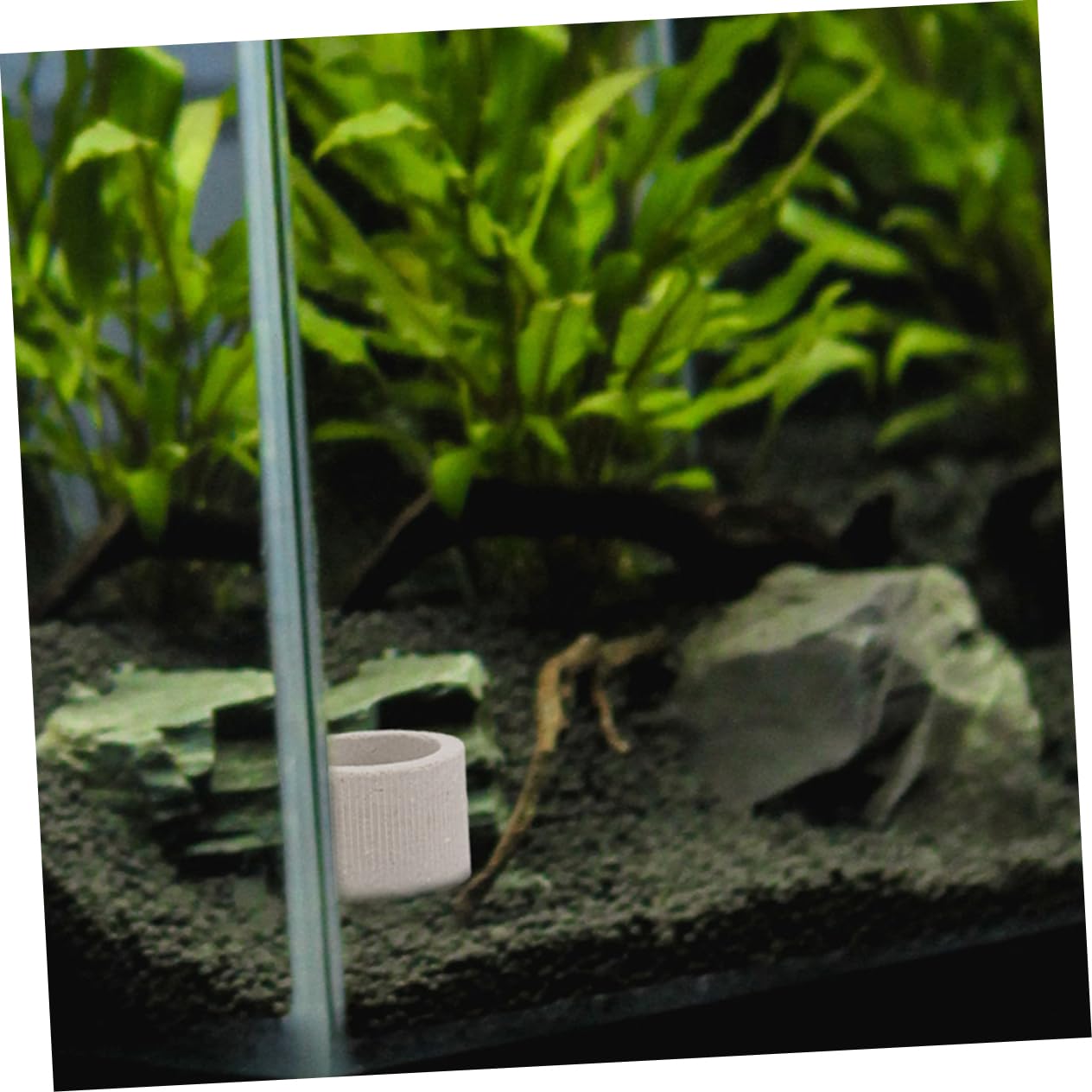 YARNOW 2 Set Coppa per piante acquatiche accessorio per piante acquatiche per acquario attrezzo per riparare le erbacce acquatiche fissatore per piante d'acquario ceramica