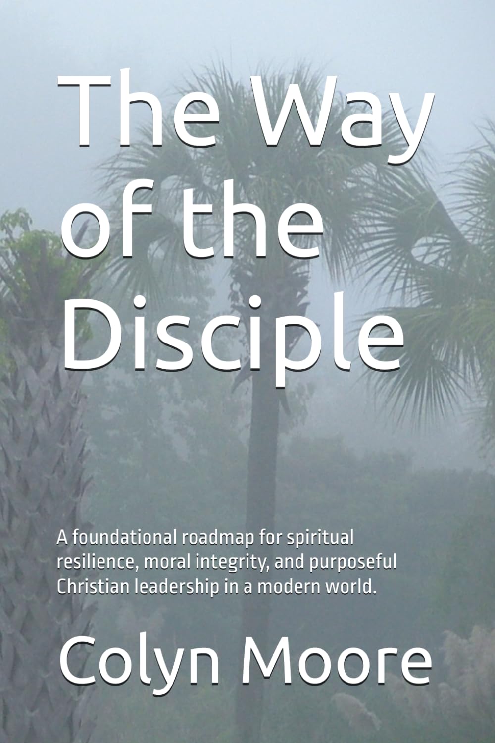 The Way of the Disciple: A foundational roadmap for spiritual resilience, moral integrity, and purposeful Christian leadership in a modern world.