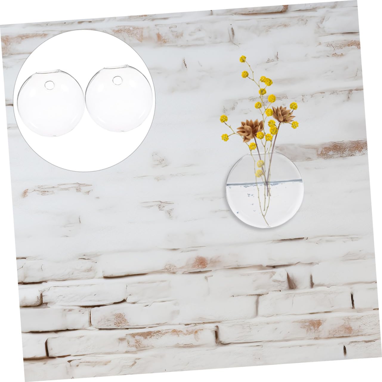Gatuida Lot de 6 Vases Muraux Hydroponiques Transparents en Verre Compact, Support à Plantes Suspendu pour Décoration Intérieure, Jardin, Bureau et Centres de Table