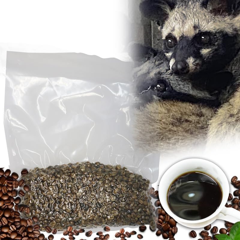 生豆 エチオピア ハラー ボールドグレン 10kg コーヒー 珈琲生豆 生豆