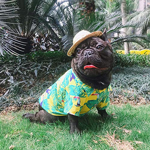 Amazon | PP&DD 犬服 アロハシャツ ALOHA ペット服 ドッグウエア
